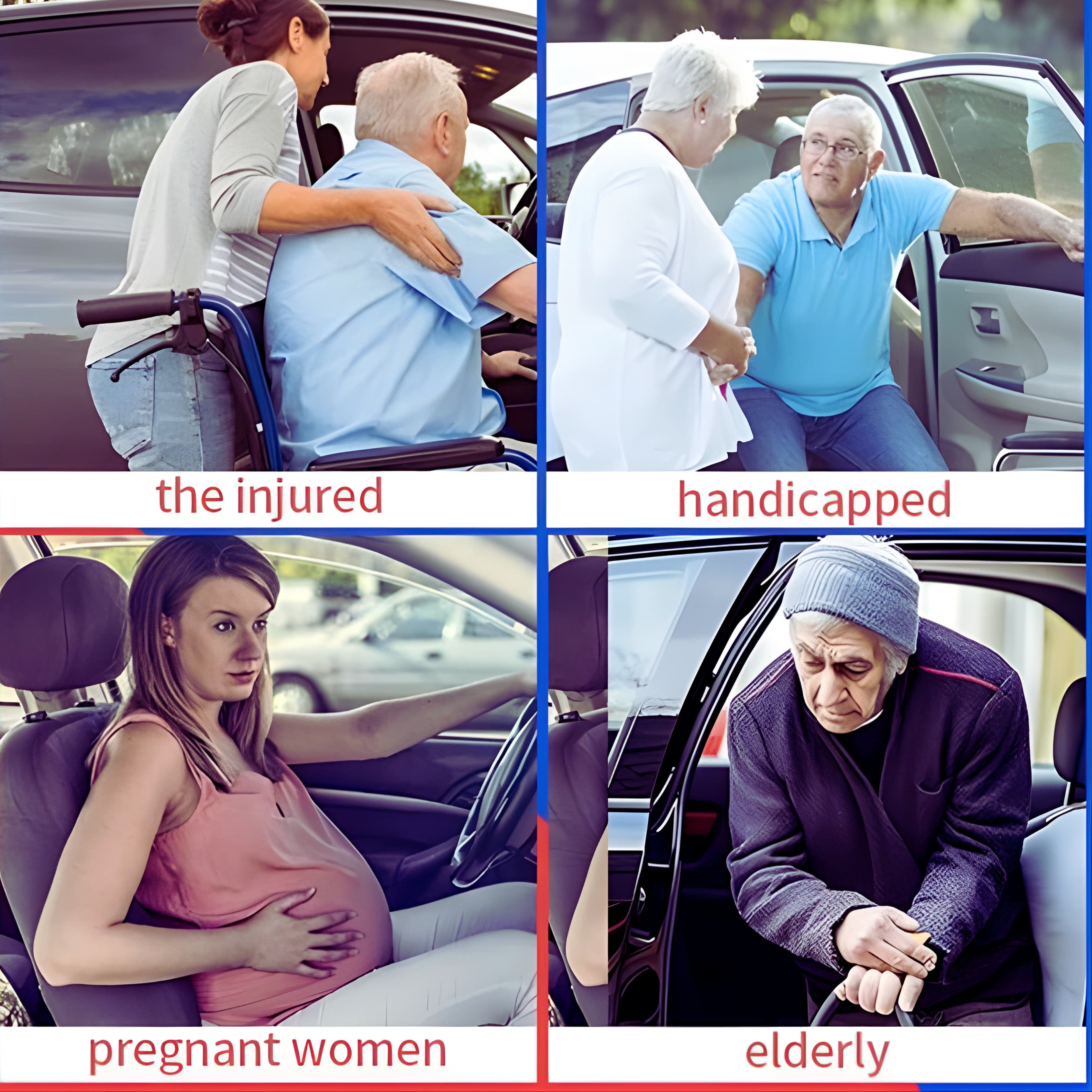 Sure-Grip Assist Handle