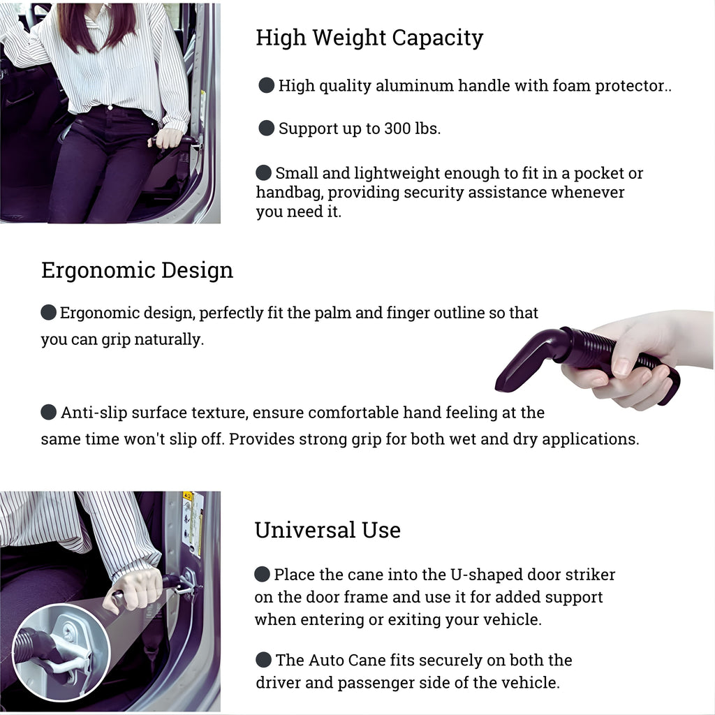 Sure-Grip Assist Handle