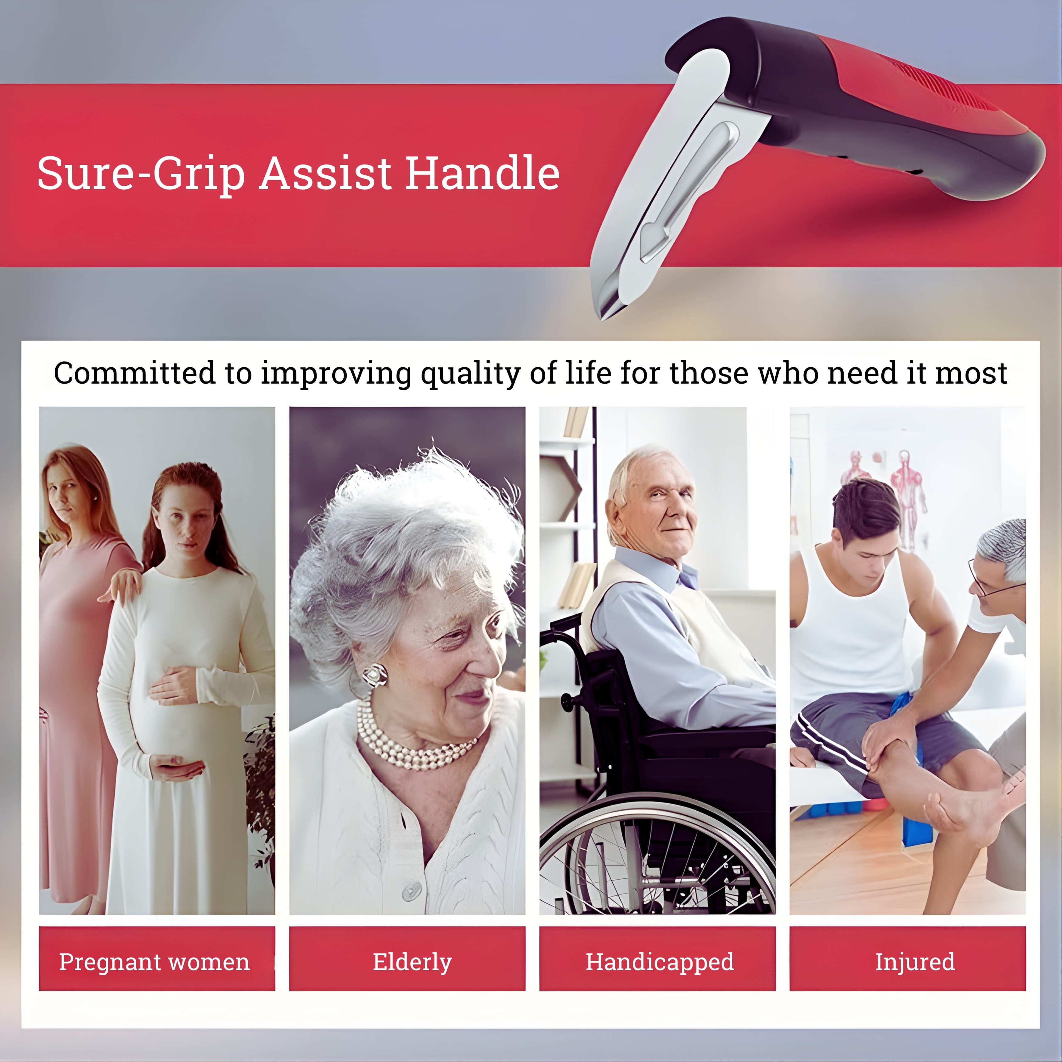 Sure-Grip Assist Handle